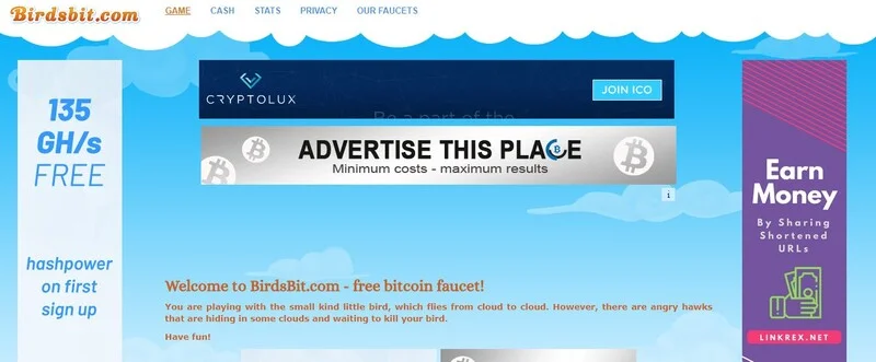 BirdsBit