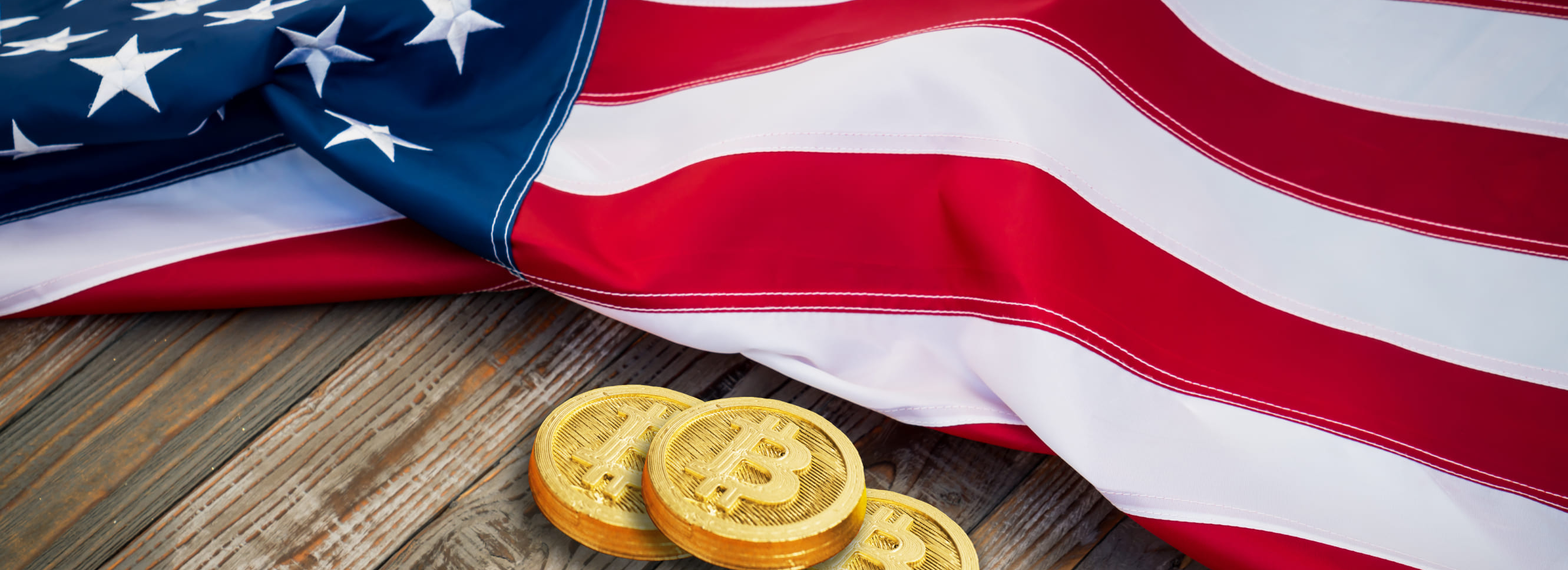 US Elections, Impact on Crypto Owners