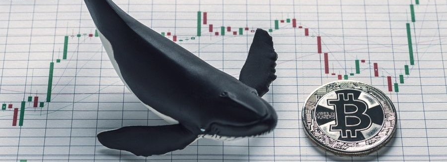 The activity of "whales" in the cryptocurrency market