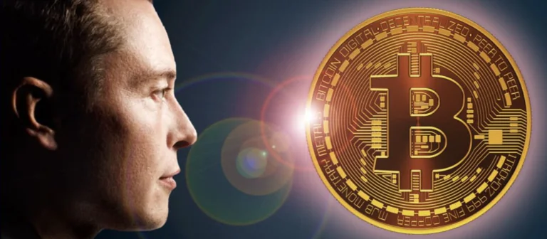 Musk spiked the Doge price with just one small tweet